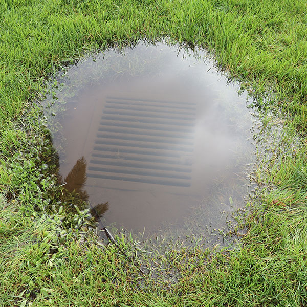 clogged-storm-drain